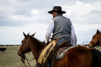 2019 Ramm Angus Ranch Branding