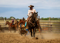 Triple Branding at Orleans