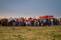 South Camp Cattle Co. Branding