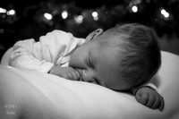 Introducing: Whittlee Christiana