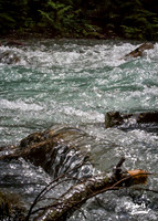 The Waters