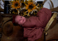 Introducing: Colti Aretta